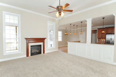 Carpet Ideas  Living Rooms on Living Room Carpet